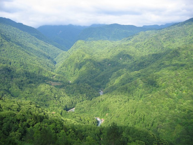 Original image